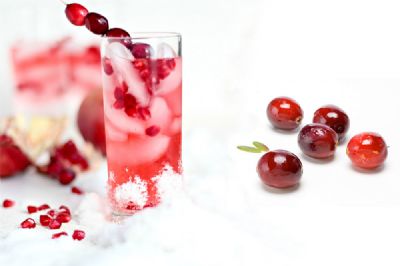 蔓越莓香料-505708A