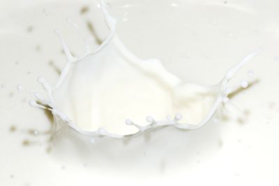 牛奶香料 365992W1