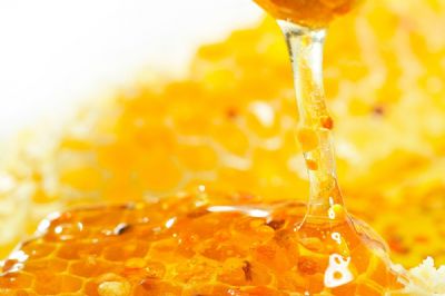 蜂蜜香料 Honey Flavor 047920Z