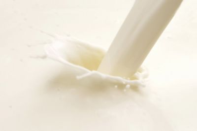 牛奶香料 Milk Flavor 047698Z