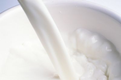 Milk Flavor 牛奶香料 015466W6