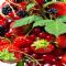 野莓香料 900918UW野莓香料 900918UW,蔓越莓香料,藍莓香料,覆盆莓香料,草莓香料